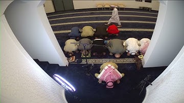 فجرية من سورة ص | عبدالرحمن المسعودي