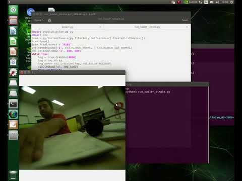 YOLOv5 object detection