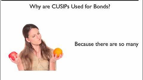 What is a CUSIP Number
