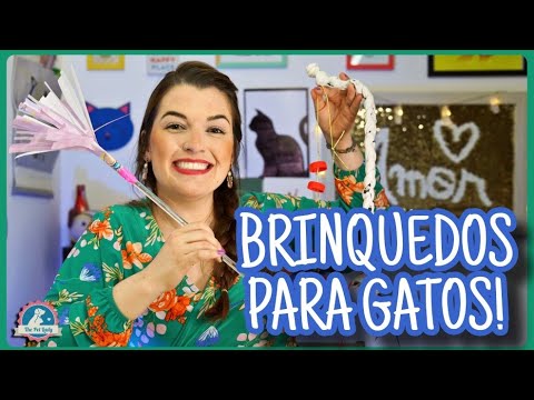 Vídeo: Quanto tempo dura o ciclo menstrual de um cão?