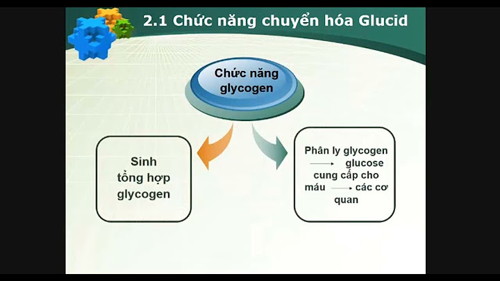 Sách hóa sinh lâm sàng gs.ts tạ thành văn năm 2024