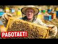 Пчелы не идут в магазин? Решаем проблему за 5 минут!