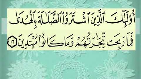 سورة البقرة اية ١٦ جمال القرش
