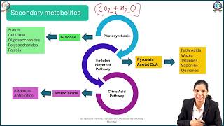 Week 1: Lecture 3: Introduction to Primary, Secondary Metabolites and Biosynthetic building blocks