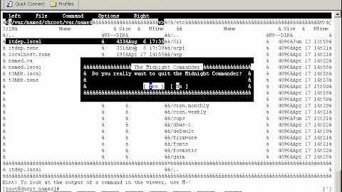 Linux Basic-Phần 2-Bài 6:Thiết lập DNS quản lý nhiều miền con
