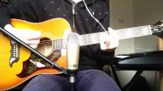 Video thumbnail of "The Front Bottoms - The Wrong Way Acoustic Guitar Cover"
