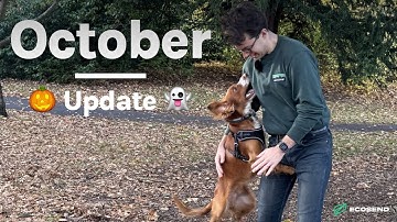 Our Spooky October 2025 Update — Hosted Forms, events, and a partnership program?! 🧛‍♂️🧟‍♀️