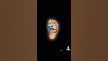 مهرجان عصام صاصا على اللي خان هصب كاس حالات واتس شاشه سوداء تيك توك حالات واتس ترند جديد 