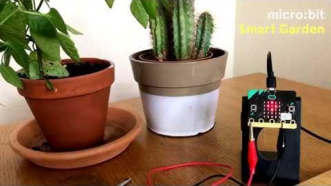 The BBC micro:bit Smart Garden device in action!