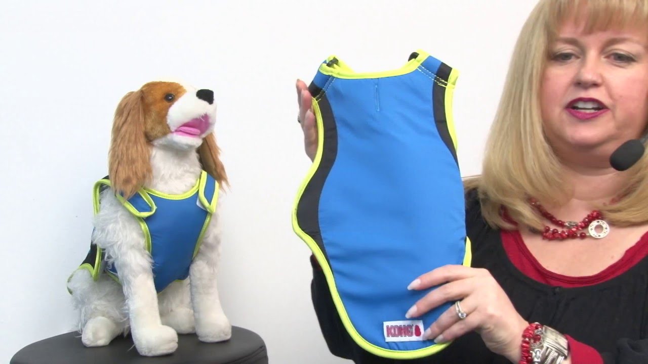 KONG Cooling Dog Coat Blue YouTube