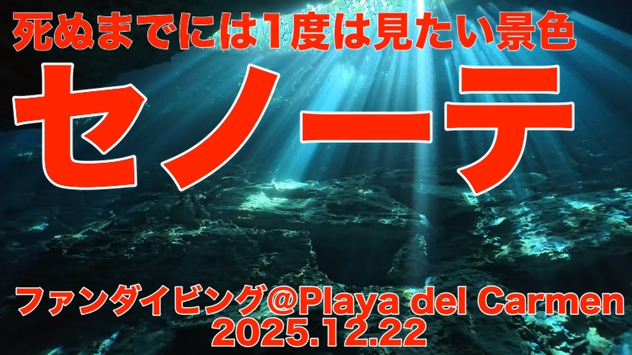 ファンダイビング＠Playa del Carmen（Mexico：Quintana Roo）　ダイブNo.338、339　4K