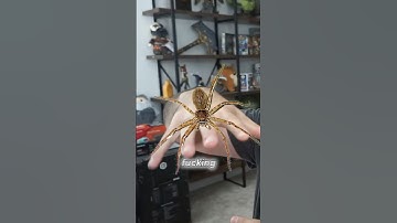 THE WORST Way To Wake Up… #shorts