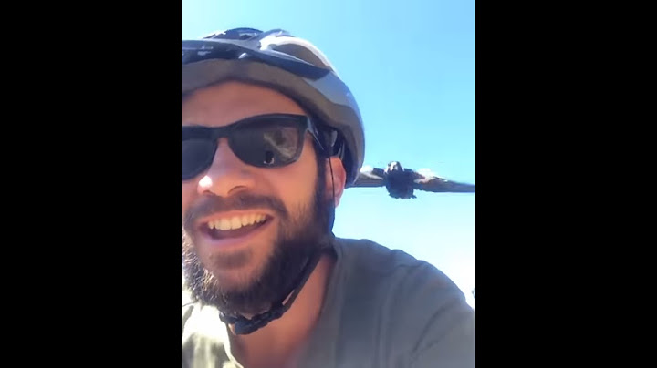 Magpie attack!
