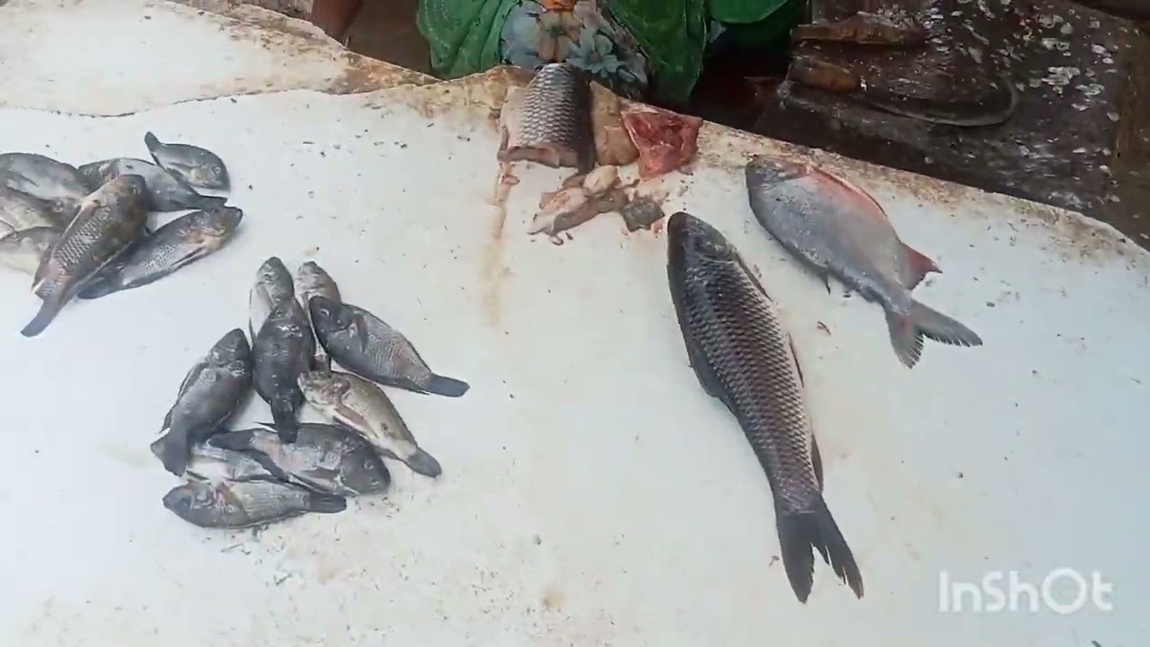 Marve road ka fish market 🦈🐟🦐