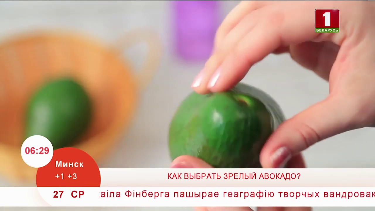 Спортикс Кострома Авокадо Интернет Магазин