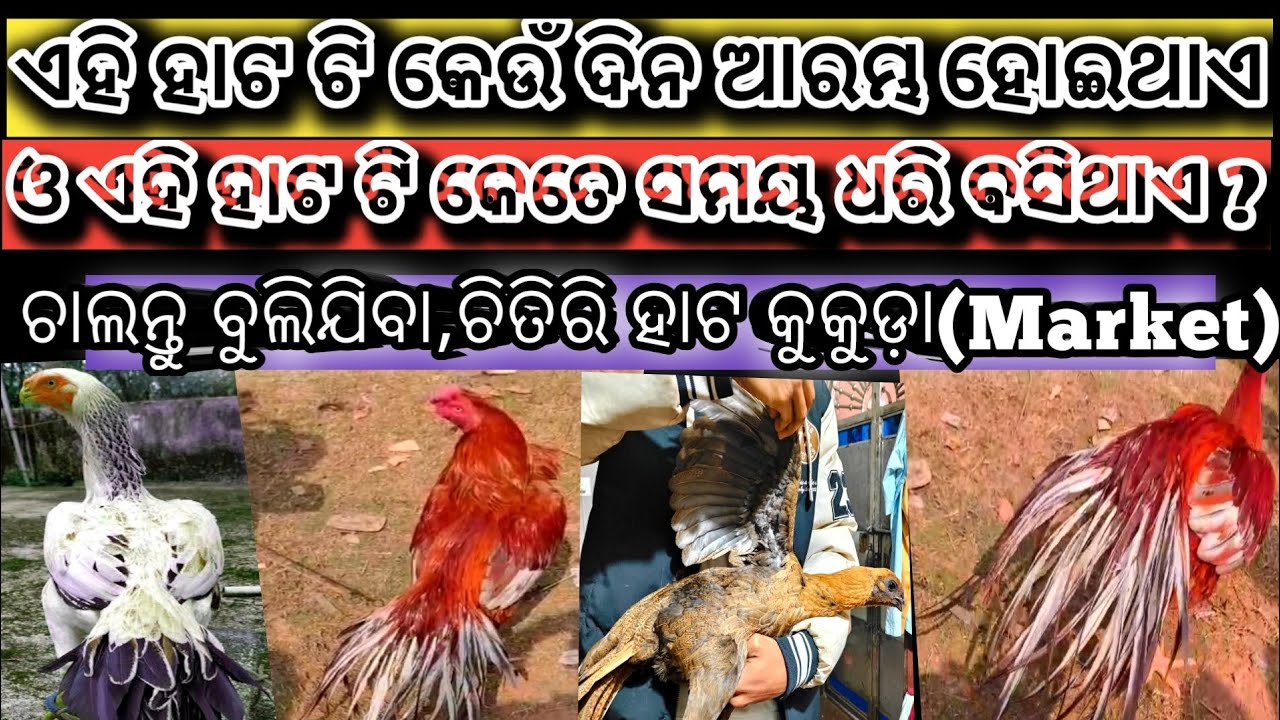 ଏହି ହାଟଟି କେଉଁଦିନ ଆରମ୍ଭ ହୋଇଥାଏ ଓ ଏହି ହାଟଟି କେତେ ସମୟଧରି ବସିଥାଏ