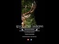 Les quatre saisons / Brame du cerf et nature 2017