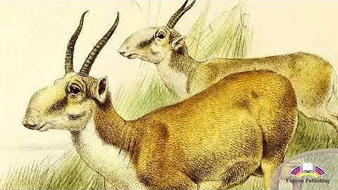 8G Excel P6 The Steppe is Golden Treasure