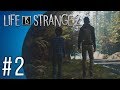 Life is Strange 2 #2