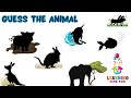 Animal Guessing Quiz