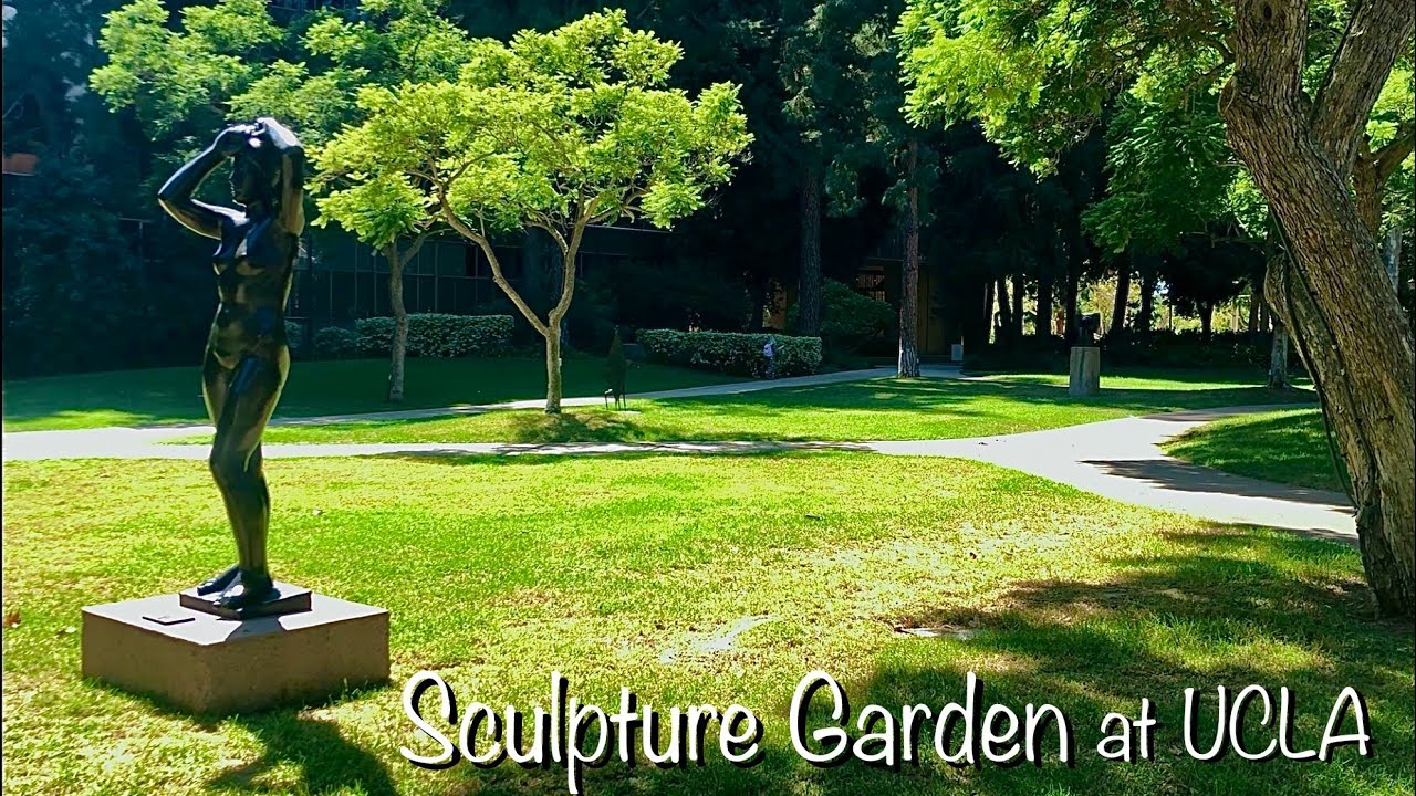 UCLA Scenery 5 (Sculpture Garden) YouTube