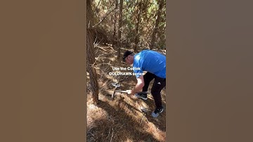 Goldhawk Coil #FindingGold #coiltek