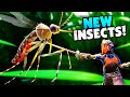 Deadly New INSECTS In Huge Grounded Survival Update - Grounded Beta
