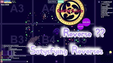 Agma.io Willow Tree 🌲 So Big and Satisfying Reverses / Shiro got reversed??