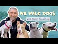 Dave bautista and his 4 rescue pitbulls  wewalkdogs