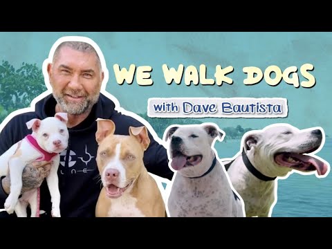 Video: Konuşurken Ürpertici Pug Maske Konuşuyor!