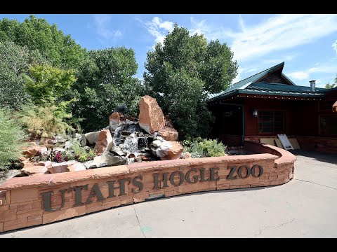 Utah’s Hogle Zoo