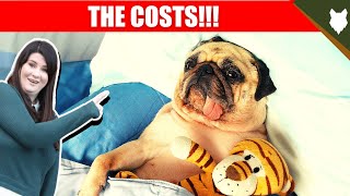 COST OF OWNING PUG