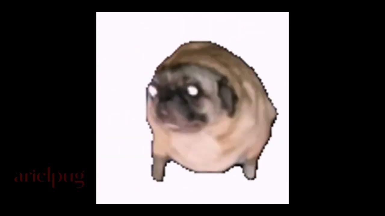 salami salami gulp gulp gulp gulp YouTube