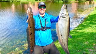 Monster Invasive Species Catch, Clean, & Cook! **Snakehead**