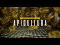 Apicultura y Ecología: Cómo las Abejas Sostienen Nuestro Mundo | Entrevista con Apicultor Andrés