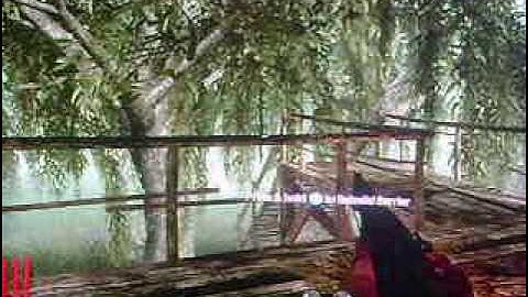 Shi No Numa: Secret Achievement: COD5 (World At War)