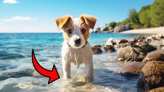 100 AI-Generated Cute Puppy Images - [Too Good to be Real]