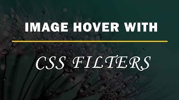 Image Hover Effect with CSS Filter | CSS Filters | Tutorial for Beginners