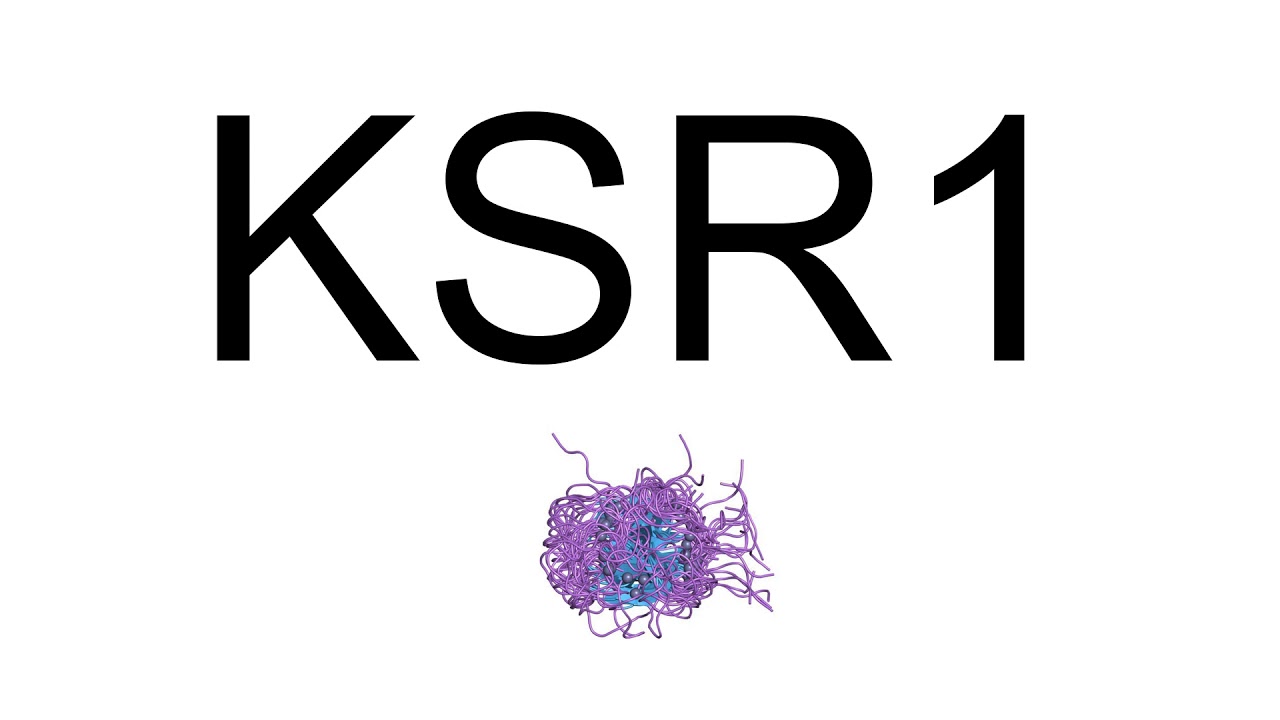 Ksr1
