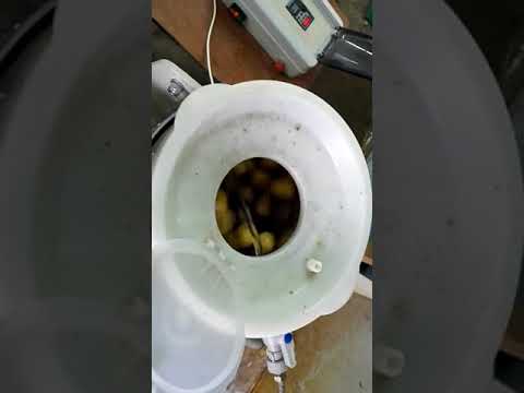 Машина для очистки овощей. Очистка картофеля, моркови, лука, свеклы
