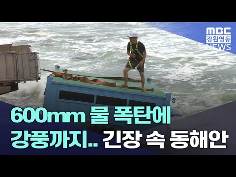 600mm 물 폭탄에 강풍까지...긴장 속 동해안 20230808