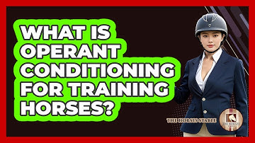 What Is Operant Conditioning For Training Horses? - The Horses Stable