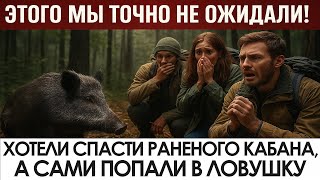 видео: Туристы нашли раненого кабана – через час они УЖЕ МОЛИЛИСЬ О СПАСЕНИИ! картинка: Туристы нашли раненого кабана – через час они УЖЕ МОЛИЛИСЬ О СПАСЕНИИ!