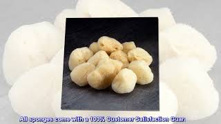 Neptune Natural Sea Soft Silk Sponge - For Cosmetic Use, Art, Facial Cleansing 12Pk, 1-1.5 Inches