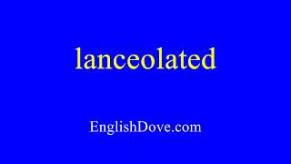How to pronounce lanceolated in American English