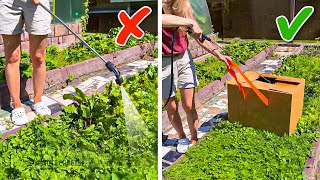 Broke Gardening Rules with these Genius hacks!