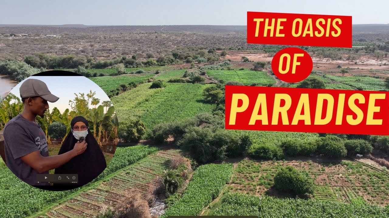 INSIDE BER JANAY/ THE OASIS OF PARADISE