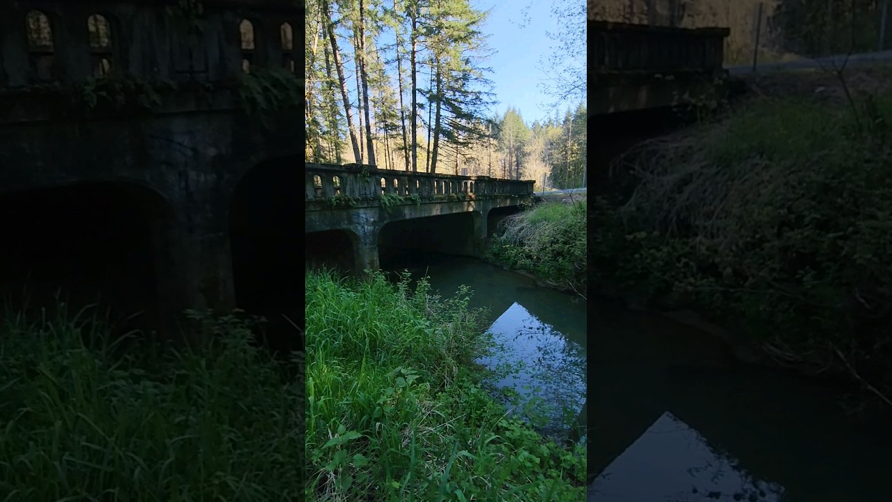 This abandoned Washington State Park should be protected and restored. 