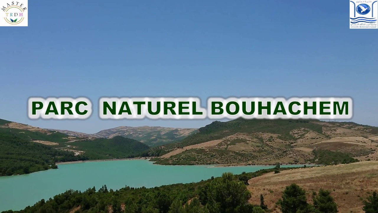 Parc Naturel Bouhachem