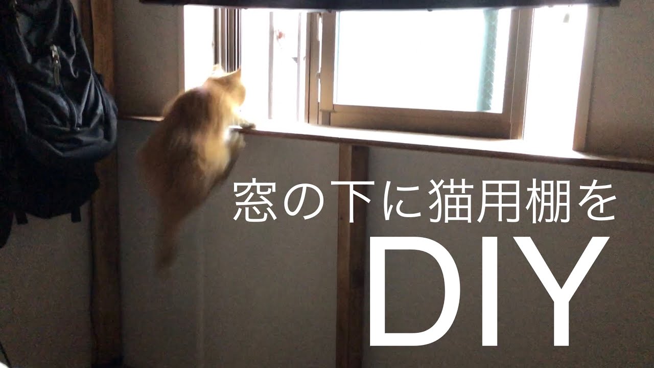 窓から外を見るのが好きな猫の為に棚をDIY YouTube